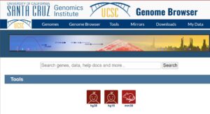 UCSC Genome Browser