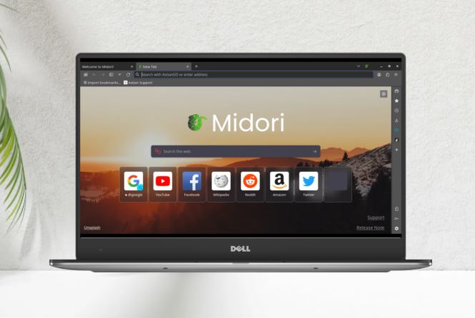 Midori Browser, best light weight browser for linux